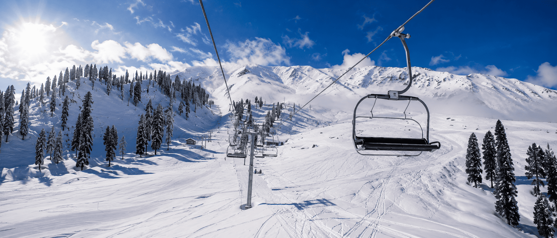 Snow-covered meadow of Gulmarg with pine forest