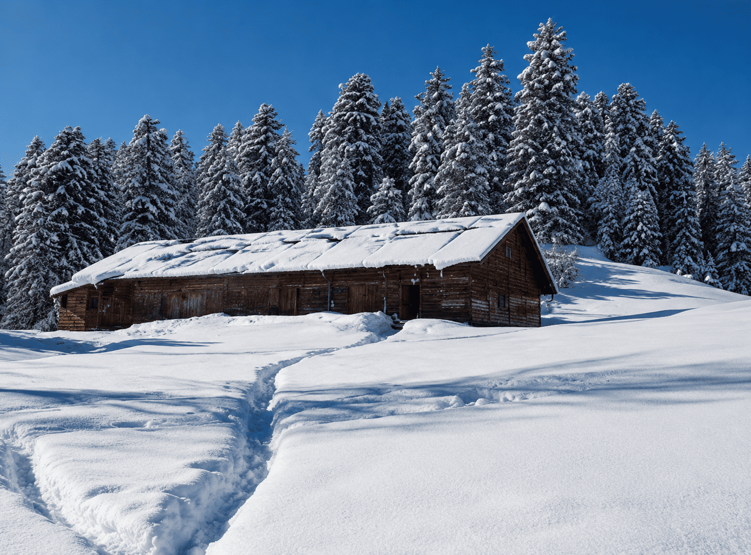 Basic tier stay in Gulmarg